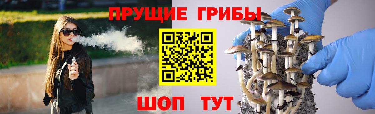 Павлово  Псилоцибиновые грибы ЛСД  что такое   Псилоцибиновые грибы GOLDEN TEACHER  Вход с VPN 